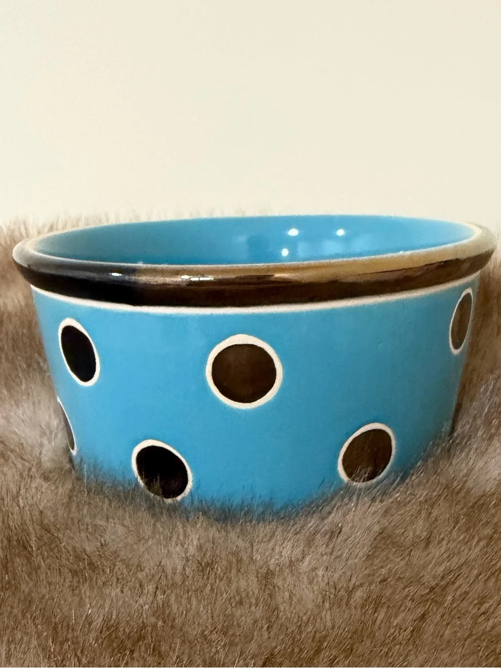 Ceramic Dog Bowl in Bright Turquoise with Polka Dot Accents